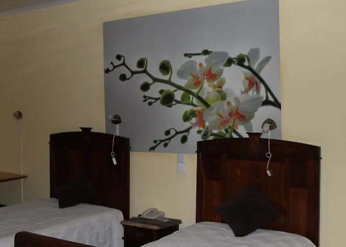 Avenida 科英布拉